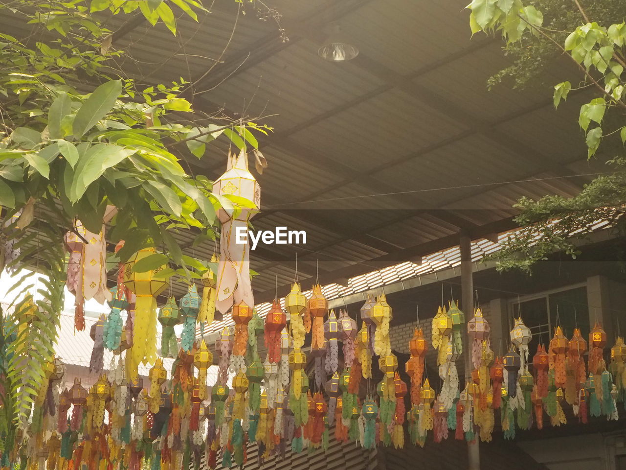 PANORAMIC SHOT OF CROSS HANGING ON TREE