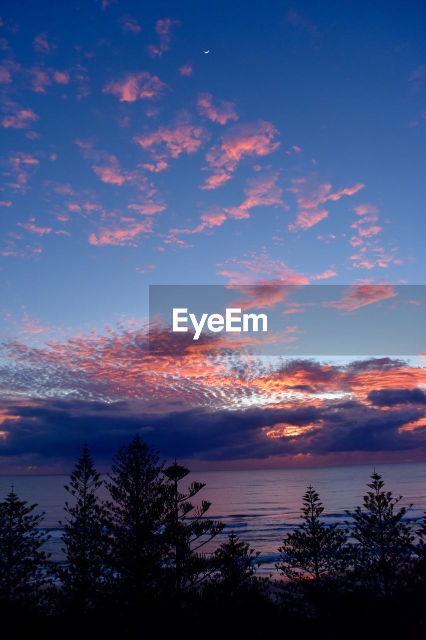 SILHOUETTE TREES AGAINST SKY DURING SUNSET