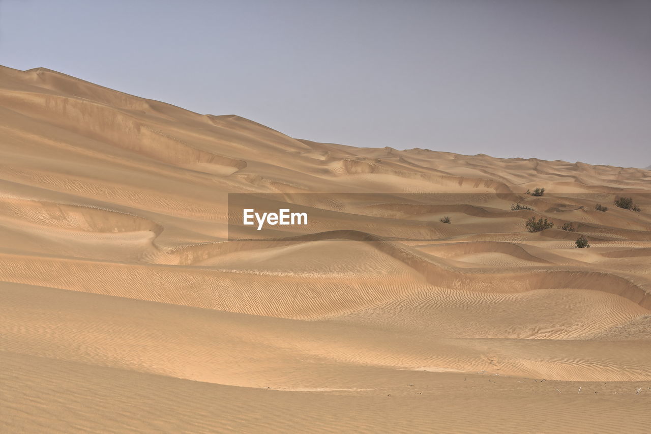 0242 chains of moving sand dunes cover the surface of the taklamakan desert. yutian-xinjiang -china.