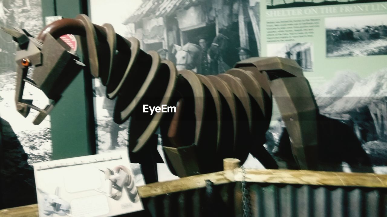 CLOSE-UP OF HORSE STANDING IN PEN