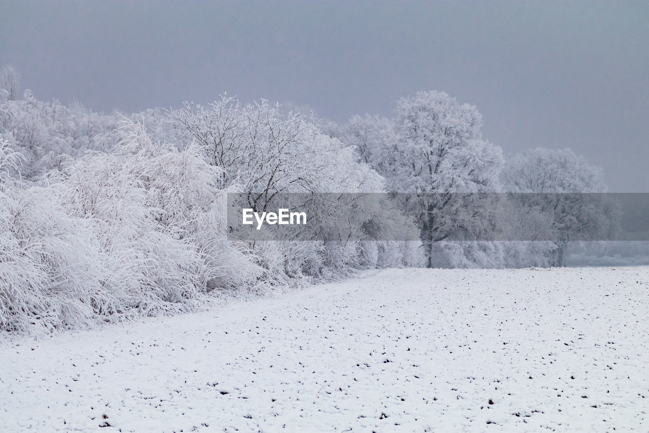 Dark winter impression with snow, frost and ice and a field in front of trees and bushes, germany