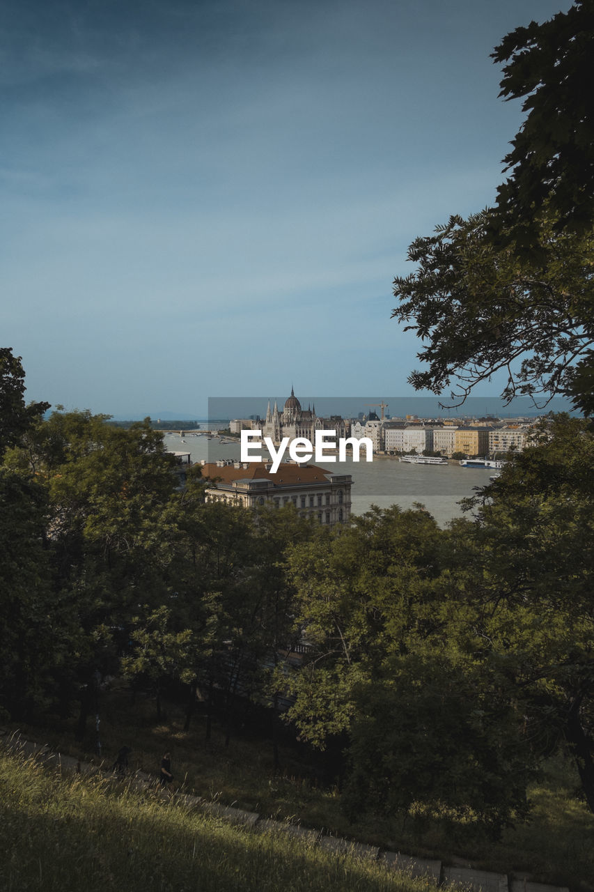 Buildings and trees in city against sky