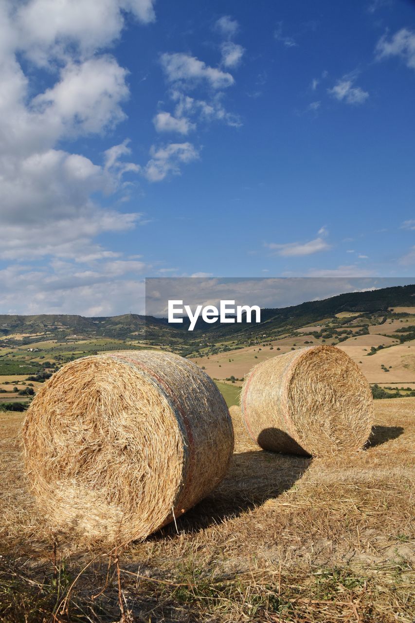 bale, hay, landscape, agriculture, sky, land, rural scene, environment, farm, nature, field, plant, harvesting, cloud, rolled up, rural area, haystack, straw, scenics - nature, tranquility, tranquil scene, beauty in nature, grass, crop, soil, circle, no people, day, geometric shape, shape, sunlight, outdoors, cereal plant, hill, blue, prairie, non-urban scene, idyllic, summer