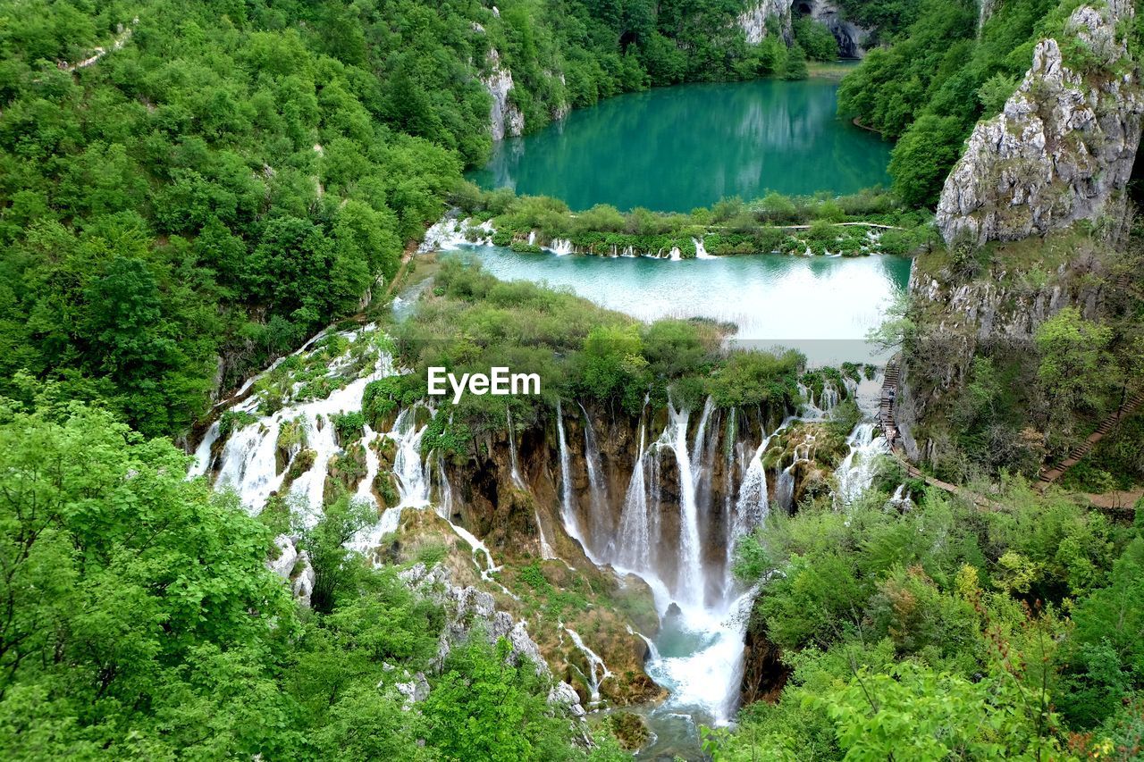 Scenic view of waterfall in forest