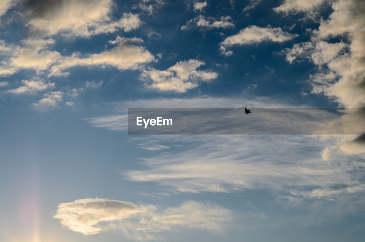 Low angle view of silhouette bird flying against cloudy sky