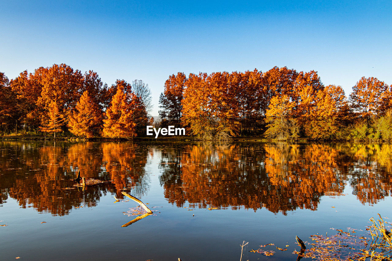 Reflection of trees in lake against sky during autumn