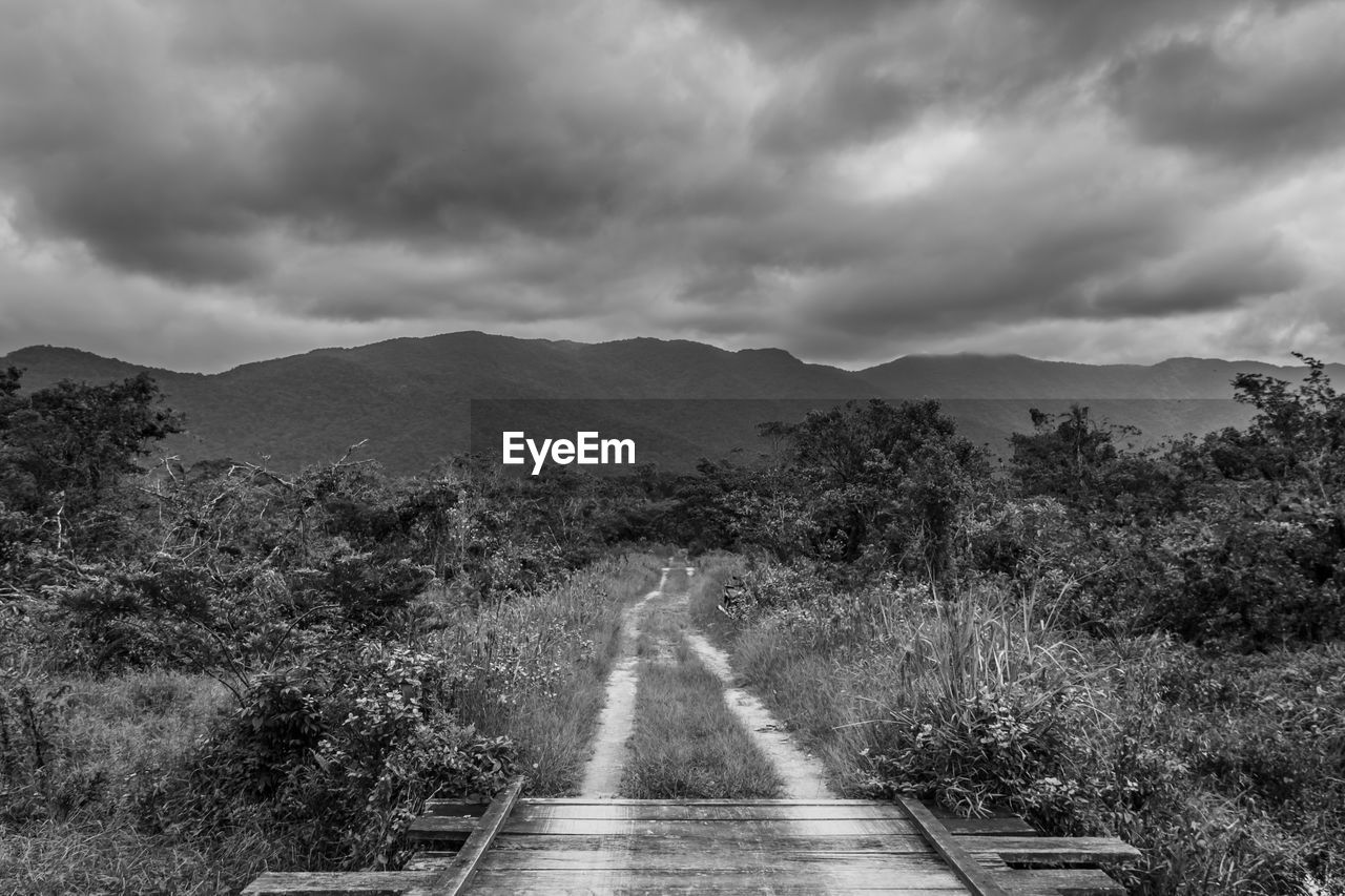 Road amidst trees against sky