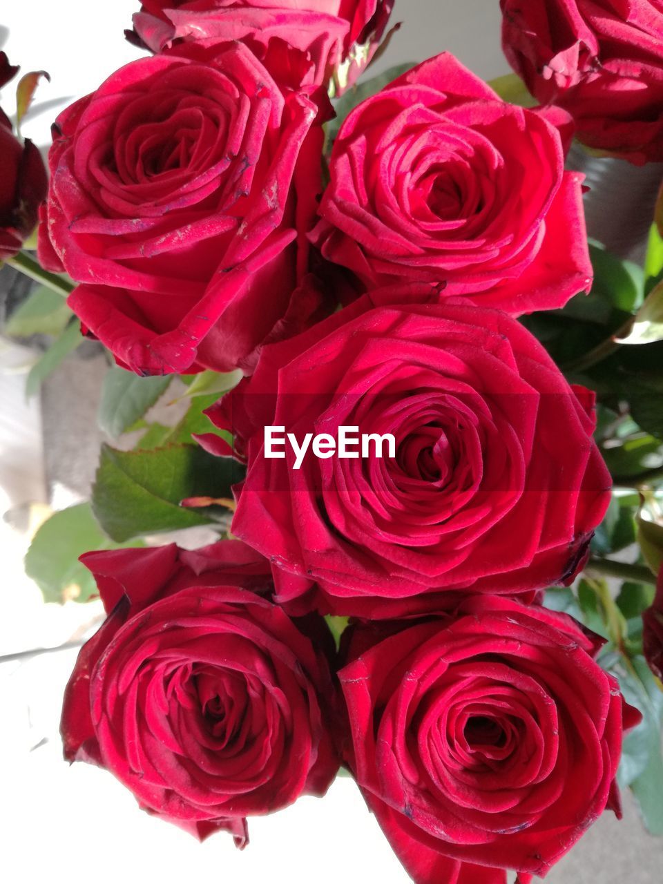 CLOSE-UP OF BOUQUET