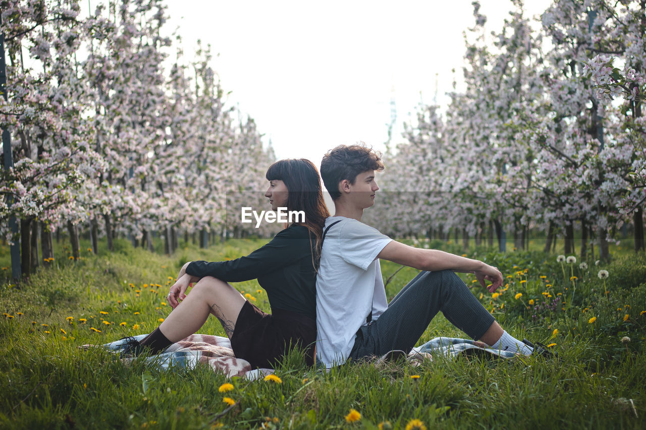 Couple declare their affection, togetherness and love in a blossoming apple orchard with a smile