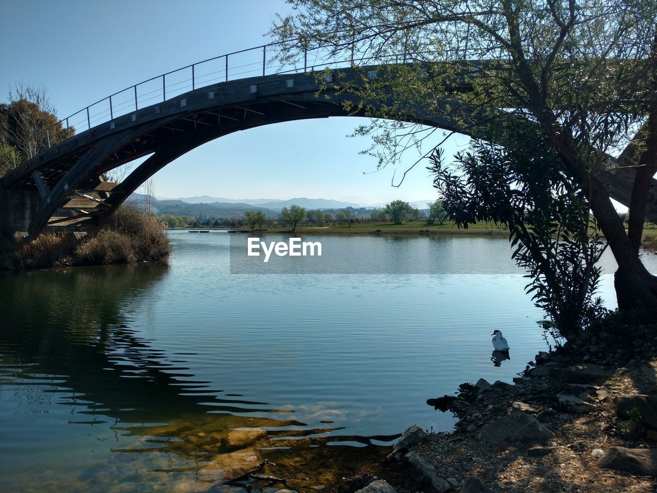 REFLECTION OF TREE ON BRIDGE AGAINST SKY