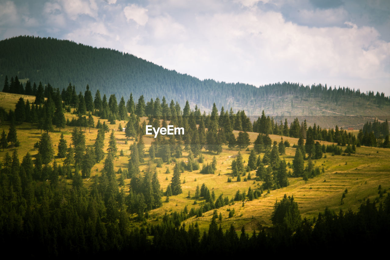 Panoramic view of agricultural landscape against sky