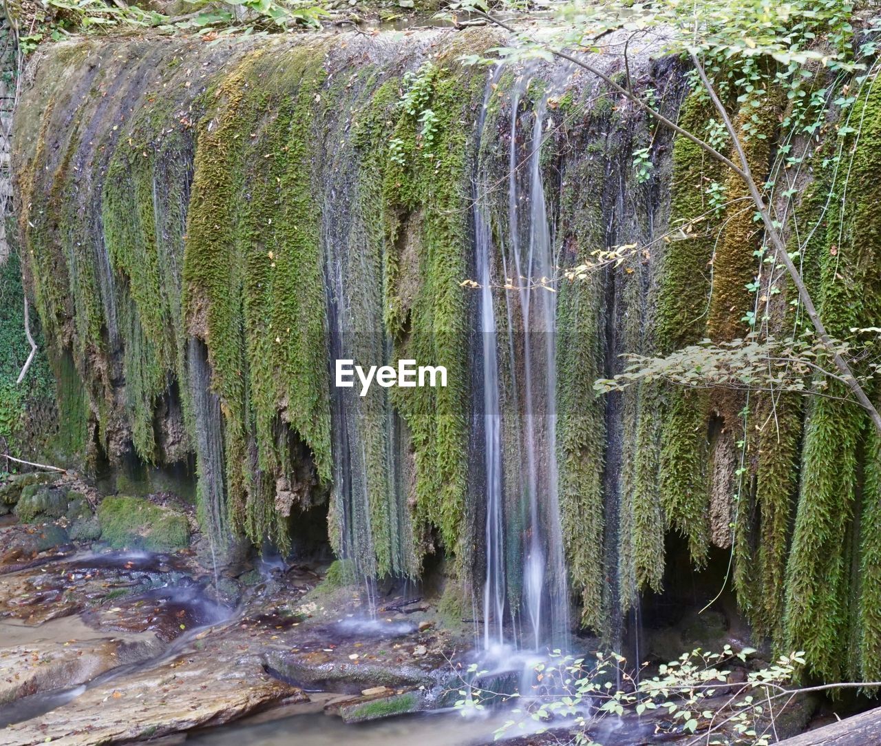 SCENIC VIEW OF WATERFALL