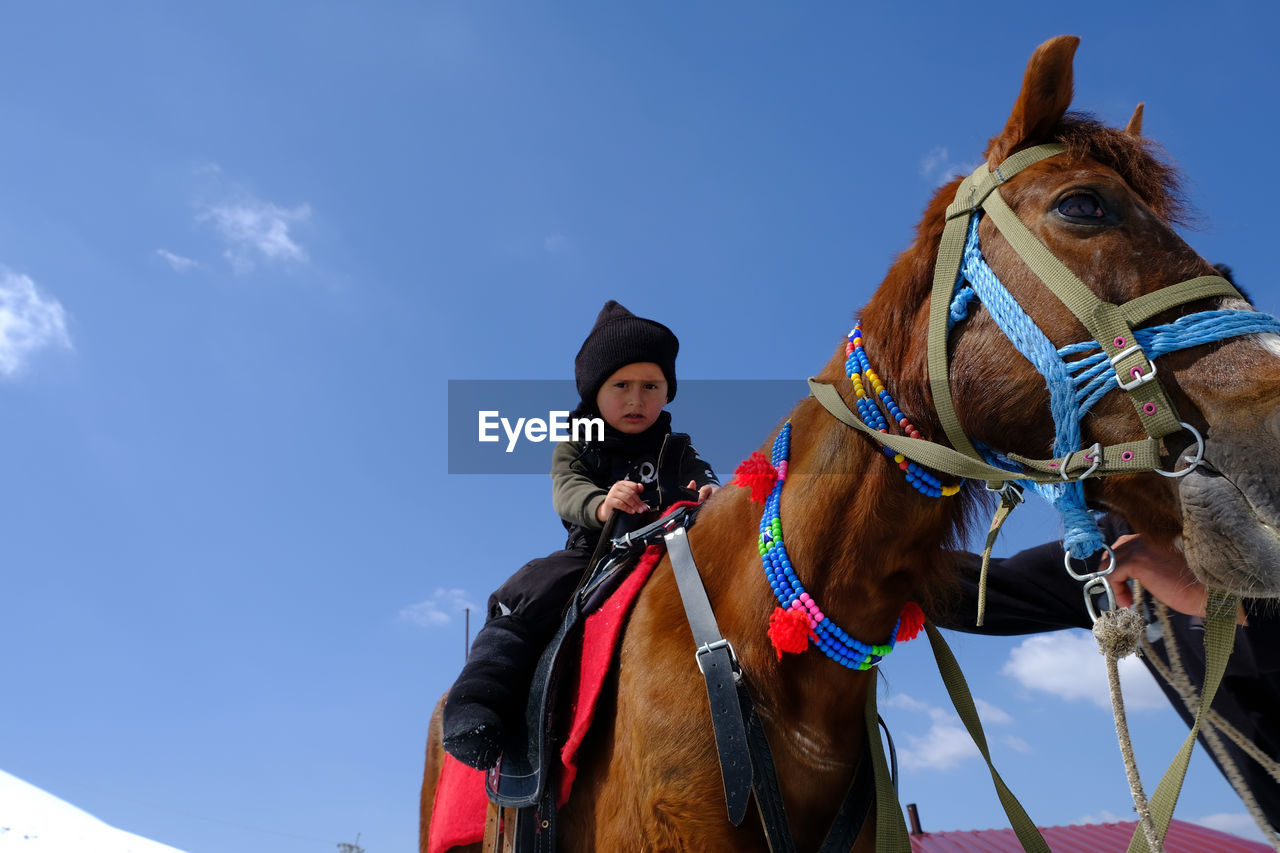 Horse and child standing on field against sky