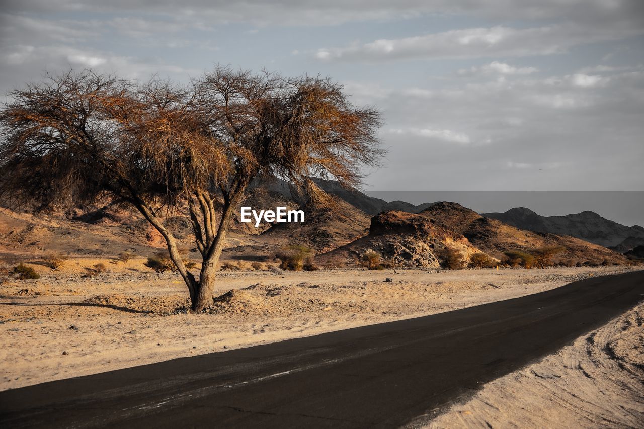 Scenic view of desert against sky