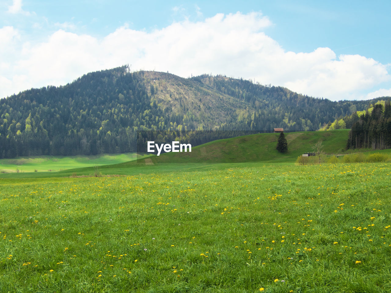 Scenic view of landscape against sky