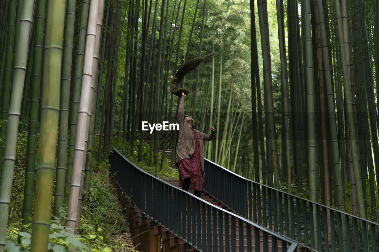 View of a woman in the bamboo forest