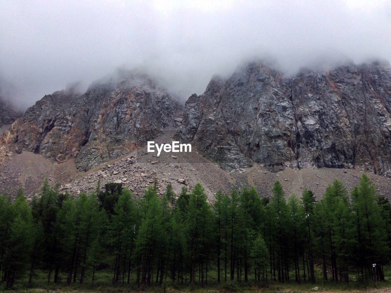 Trees on mountain against sky