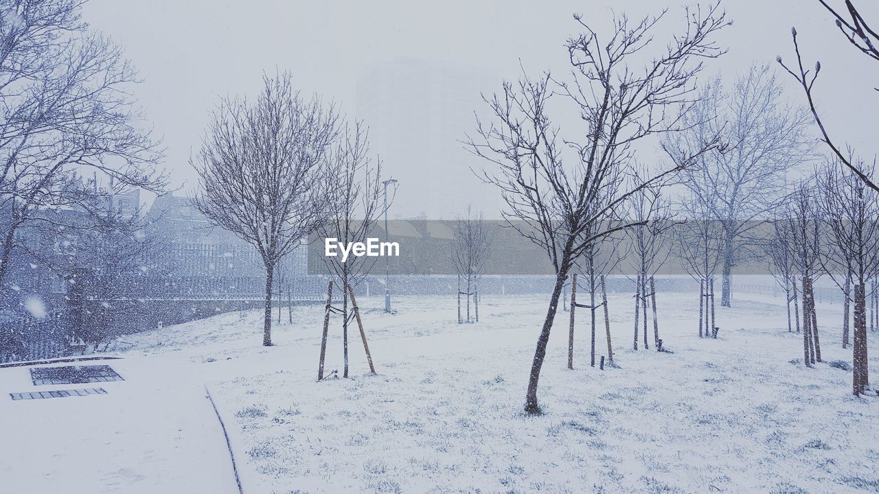 TREES ON SNOW COVERED LANDSCAPE AGAINST SKY