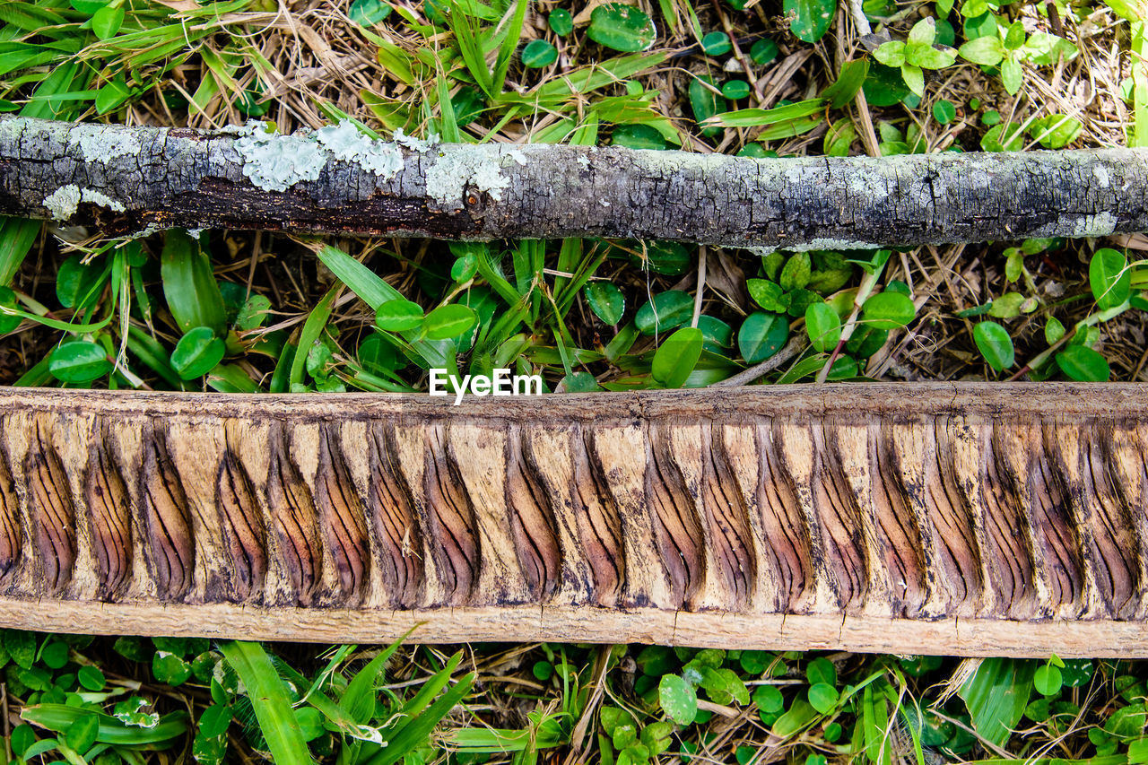 CLOSE-UP OF WOOD