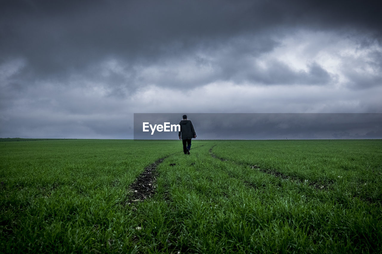 Rear view of man walking on field