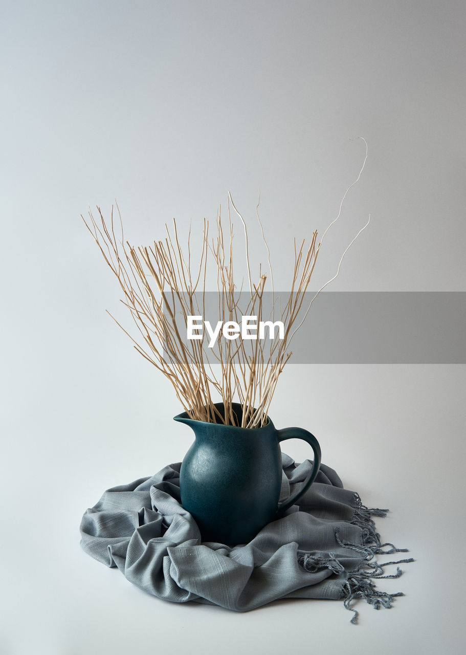 Close-up of plant on table against white background