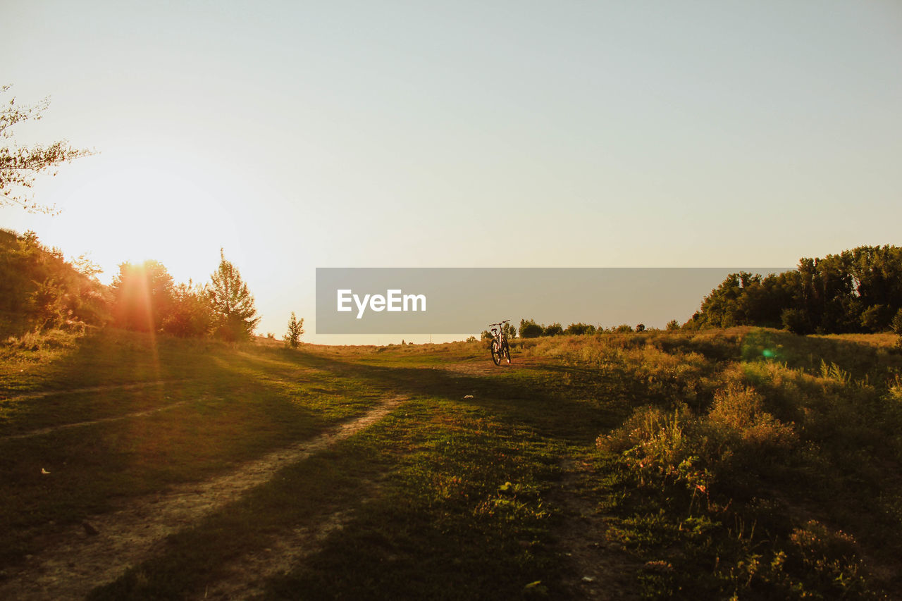Scenic view of field against clear sky