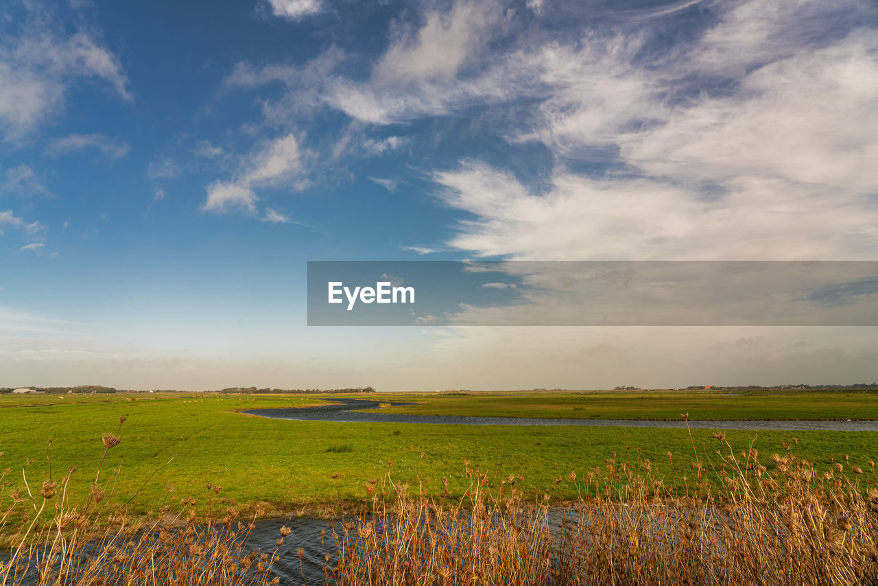 Scenic view of agricultural field against sky