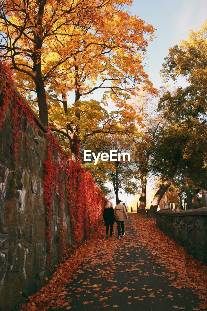 Man and woman walking on footpath by autumn trees