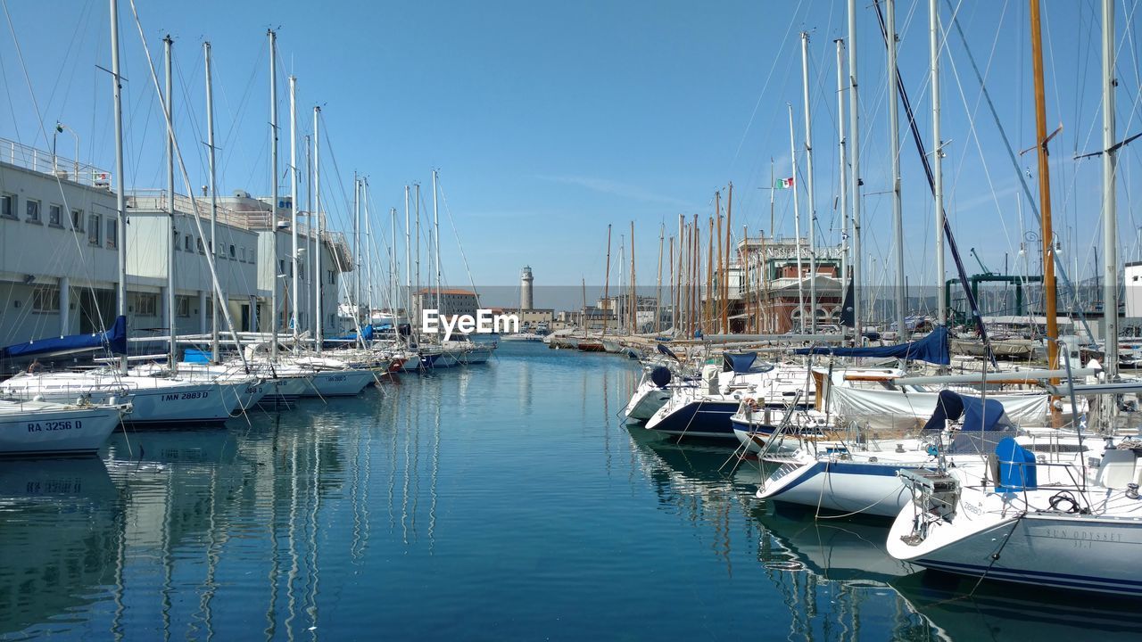 SAILBOATS IN MARINA