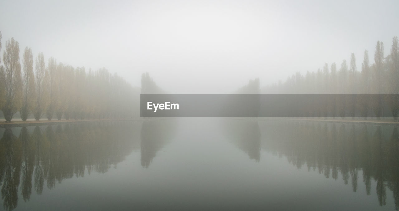 Reflection of trees on water in foggy weather