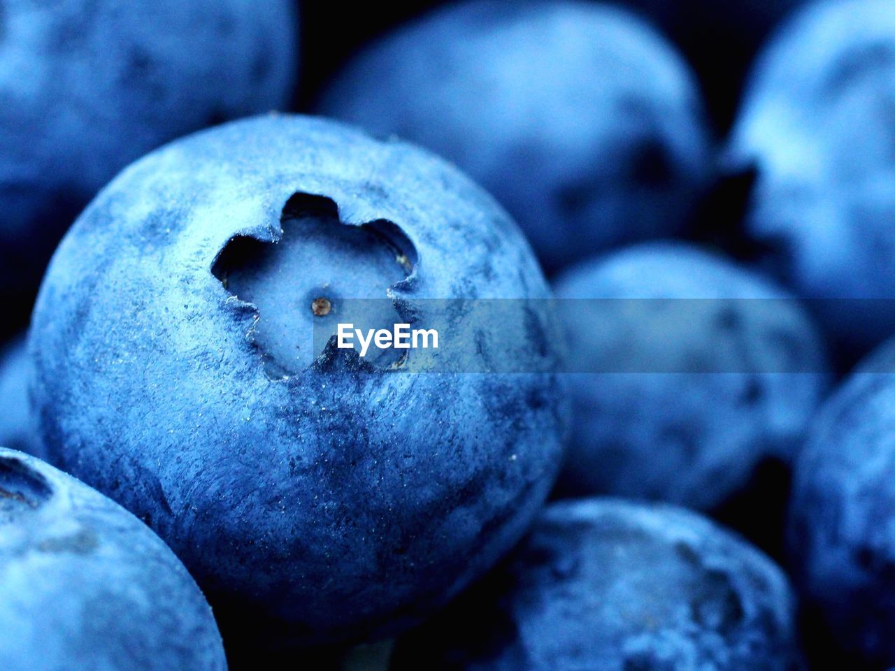 Full frame shot of blueberries