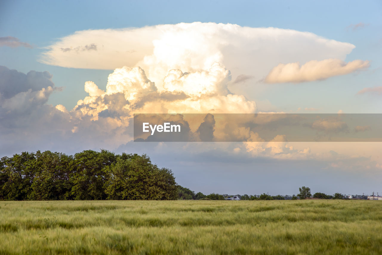 SCENIC VIEW OF LAND AGAINST SKY