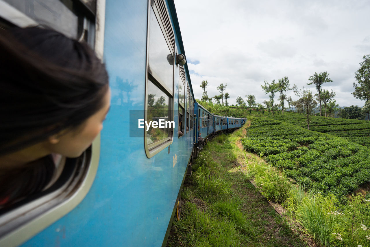 Resting asian female taking train along green plants