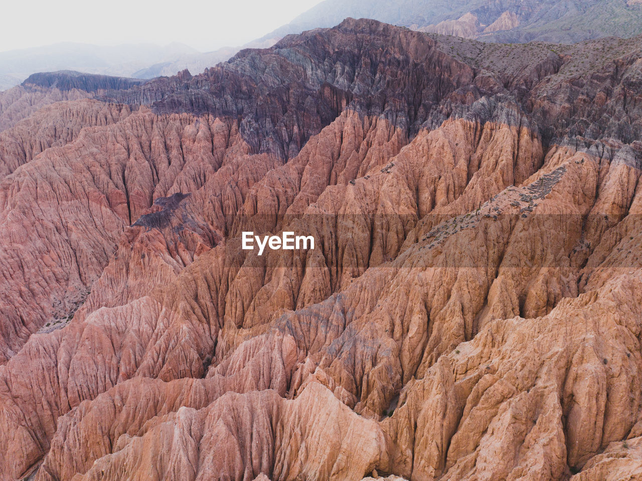 landscape, environment, scenics - nature, mountain, rock, beauty in nature, land, non-urban scene, nature, no people, rock formation, canyon, geology, travel destinations, formation, desert, wilderness, tranquility, travel, day, mountain range, tranquil scene, wadi, remote, plant, outdoors, physical geography, sky, plateau, extreme terrain, arid climate, tree, tourism, climate, valley, eroded