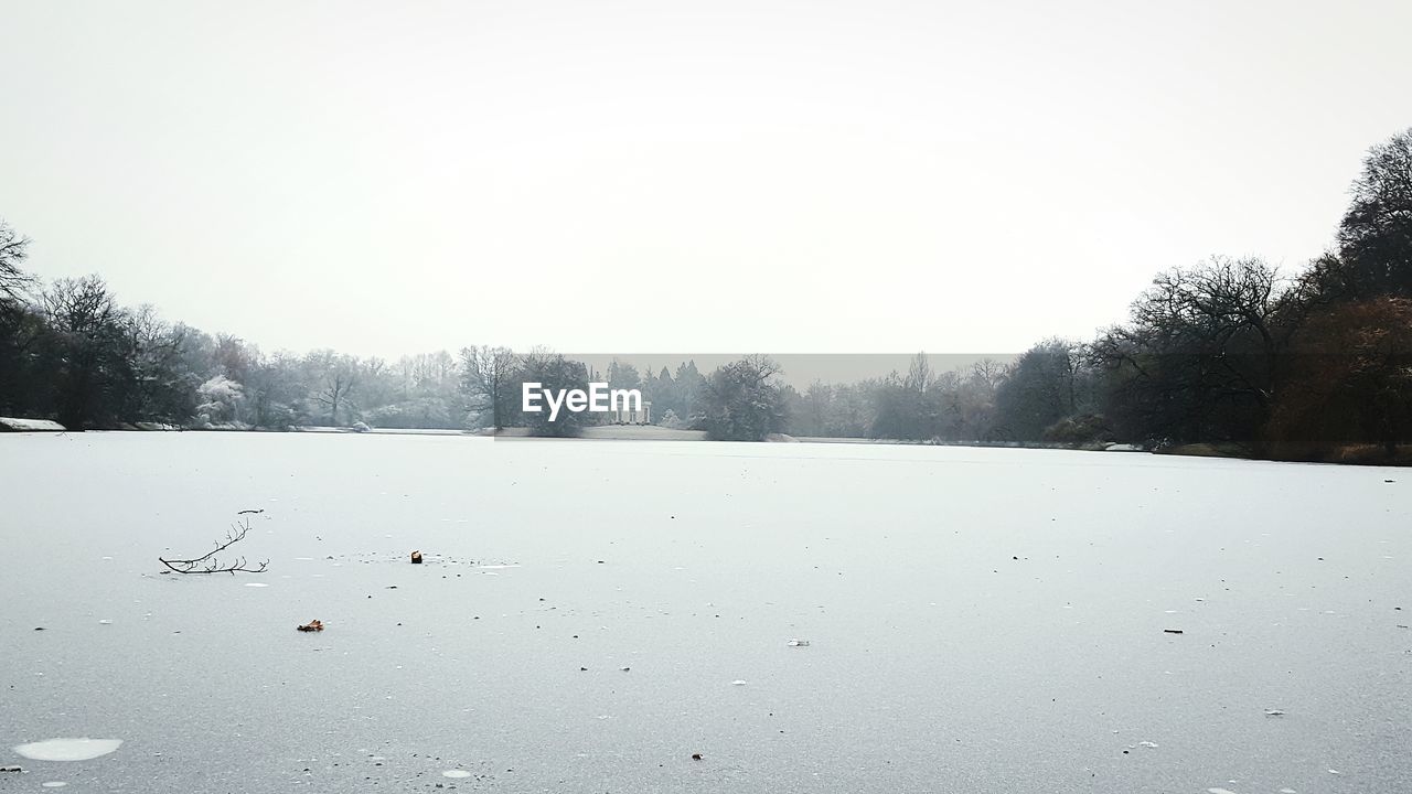 SCENIC VIEW OF TREES AGAINST CLEAR SKY DURING WINTER