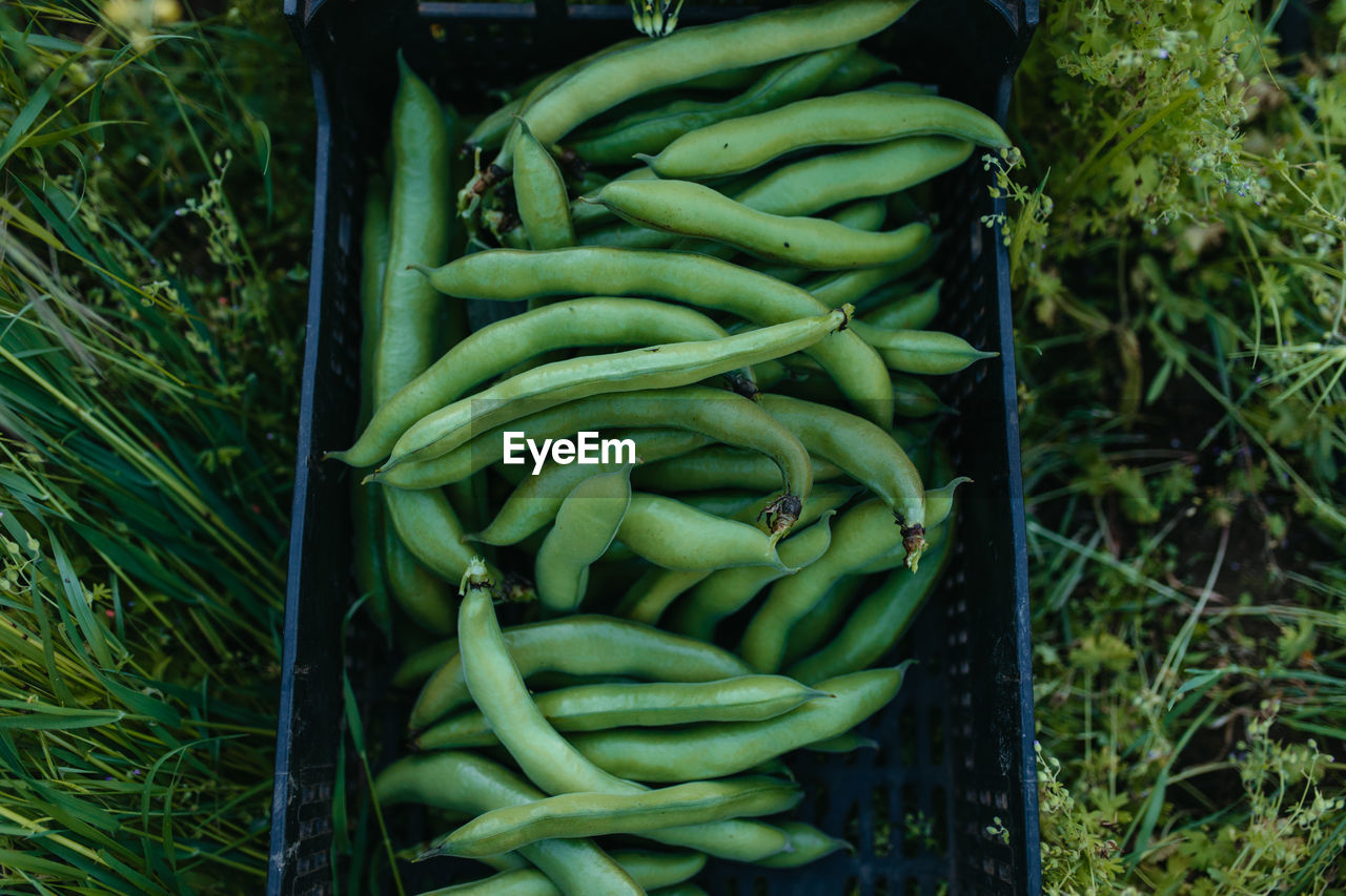 High angle view of vegetables at market stall