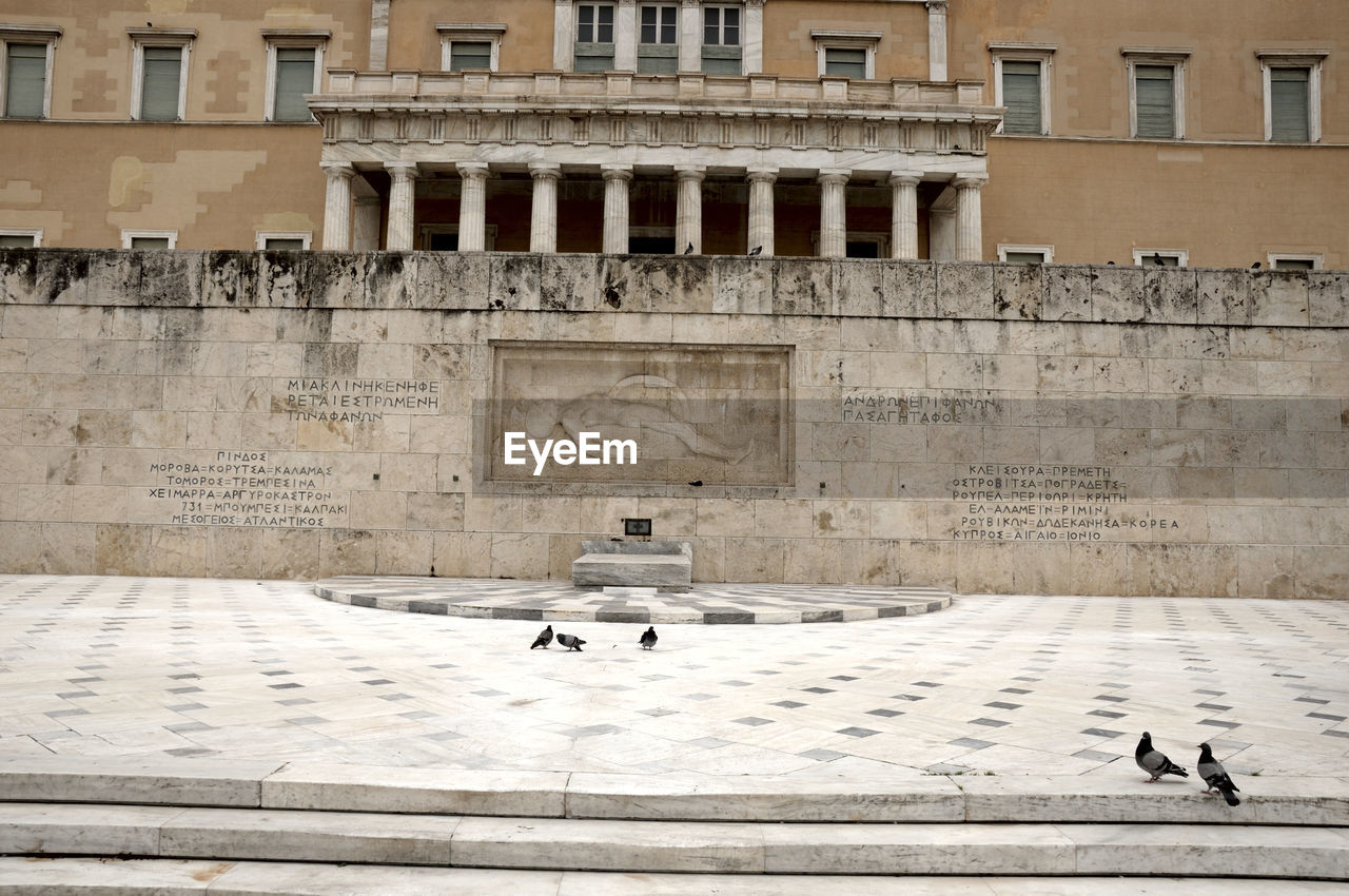 VIEW OF PIGEONS ON THE WALL