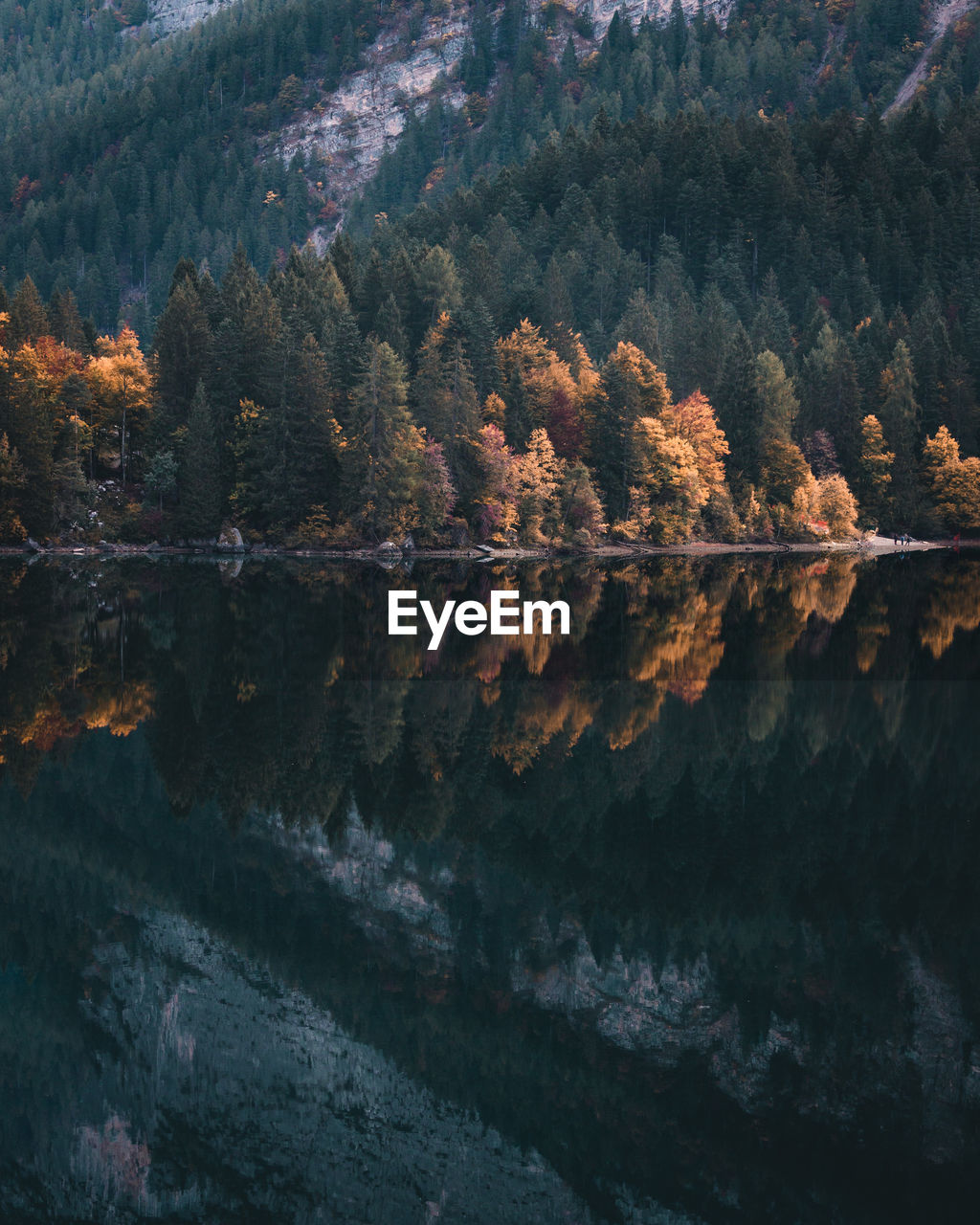 Reflection of trees in lake during autumn