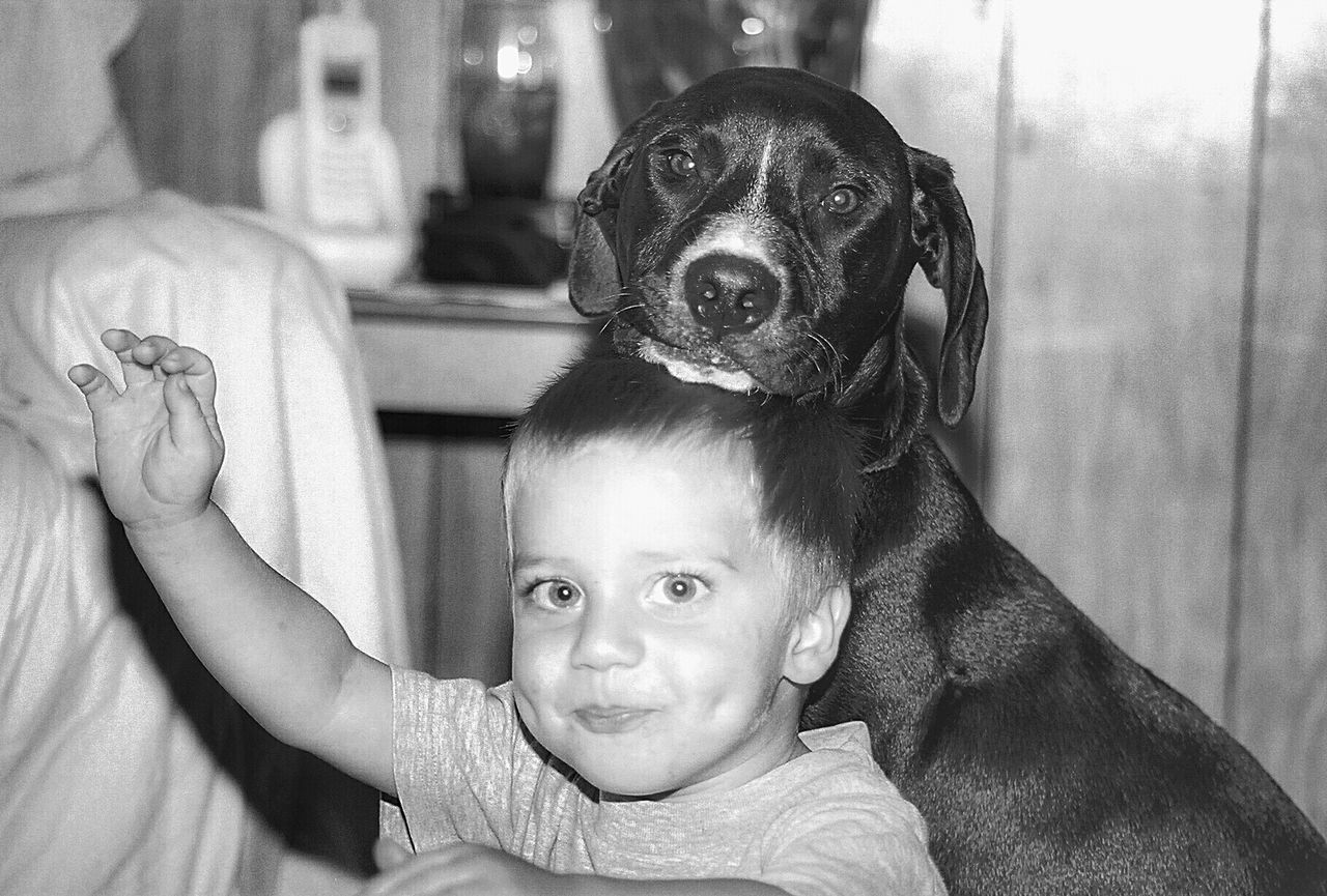 Portrait of smiling boy with dog at home