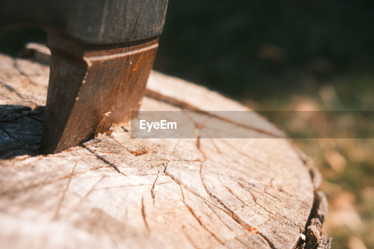 wood, close-up, tree, timber, log, nature, soil, tree stump, macro photography, no people, bark, forest, leaf, day, selective focus, outdoors, tree trunk, focus on foreground, plant, textured, trunk, sunlight, firewood, deforestation, lumber industry, cracked