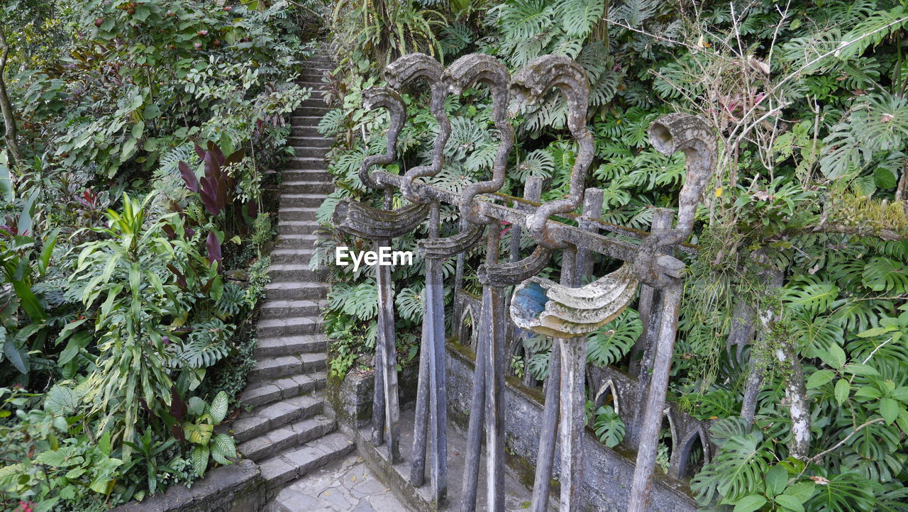HIGH ANGLE VIEW OF STEPS AMIDST PLANTS