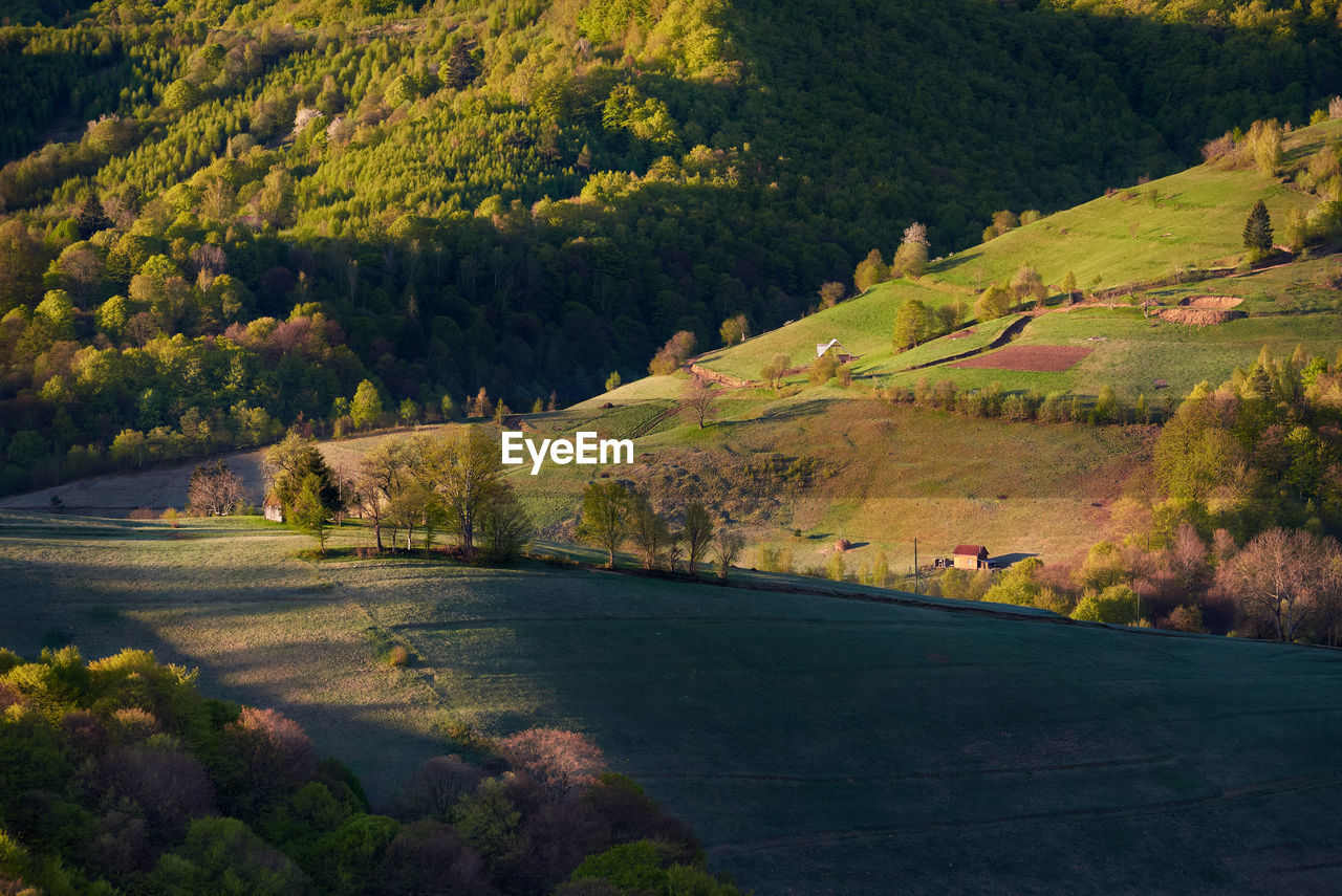 A photo taken at sunrise in holbav, brasov.