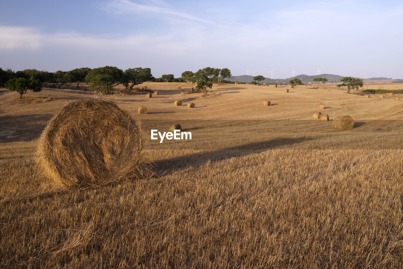 Hay bales on field against sky