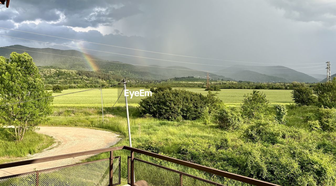 plant, cloud, sky, environment, nature, landscape, rural area, tree, beauty in nature, land, scenics - nature, green, rural scene, no people, hill, field, transportation, day, tranquility, growth, agriculture, outdoors, tranquil scene, transport, grass, non-urban scene, road, sunlight, travel