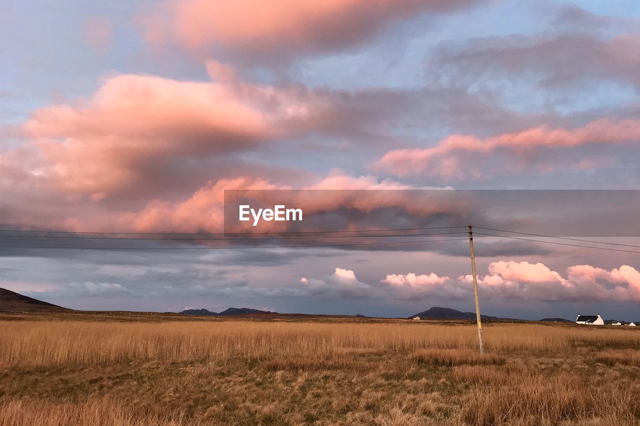 SCENIC VIEW OF FIELD AGAINST CLOUDY SKY