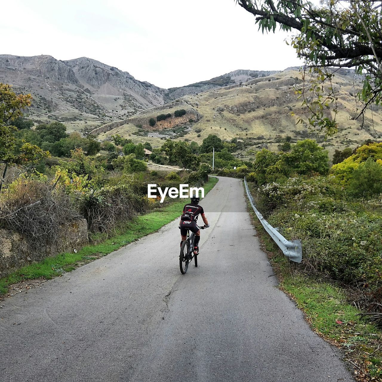 Rear view of man riding bicycle on road