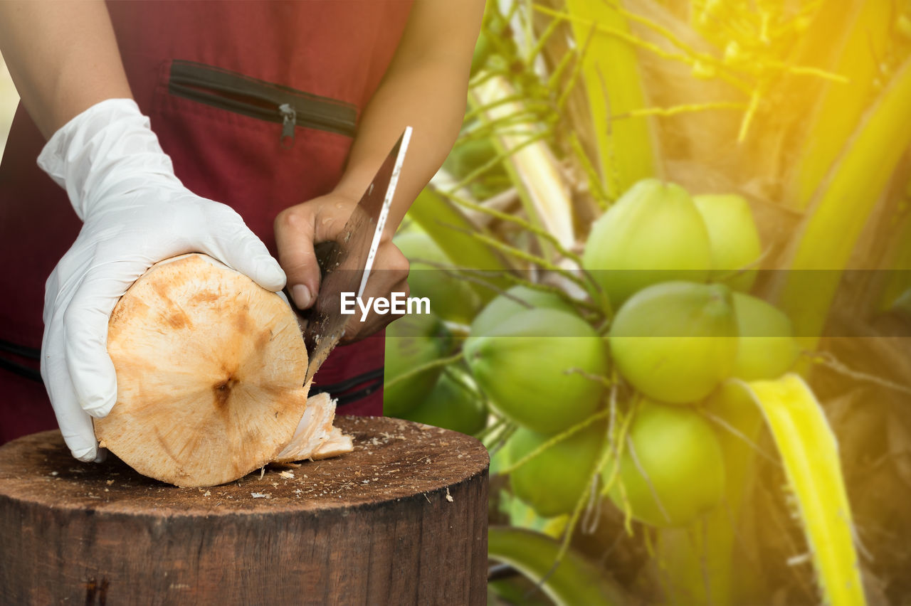 Midsection of man cutting coconut on wooden log