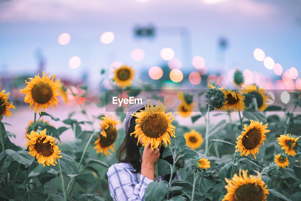 Woman standing amidst sunflowers