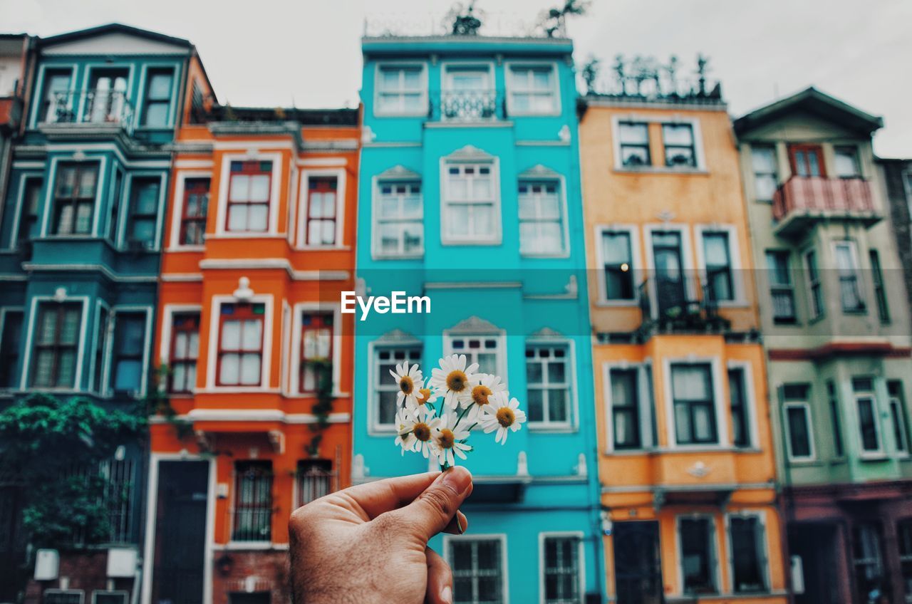 Cropped hand of person holding flowers against building in city