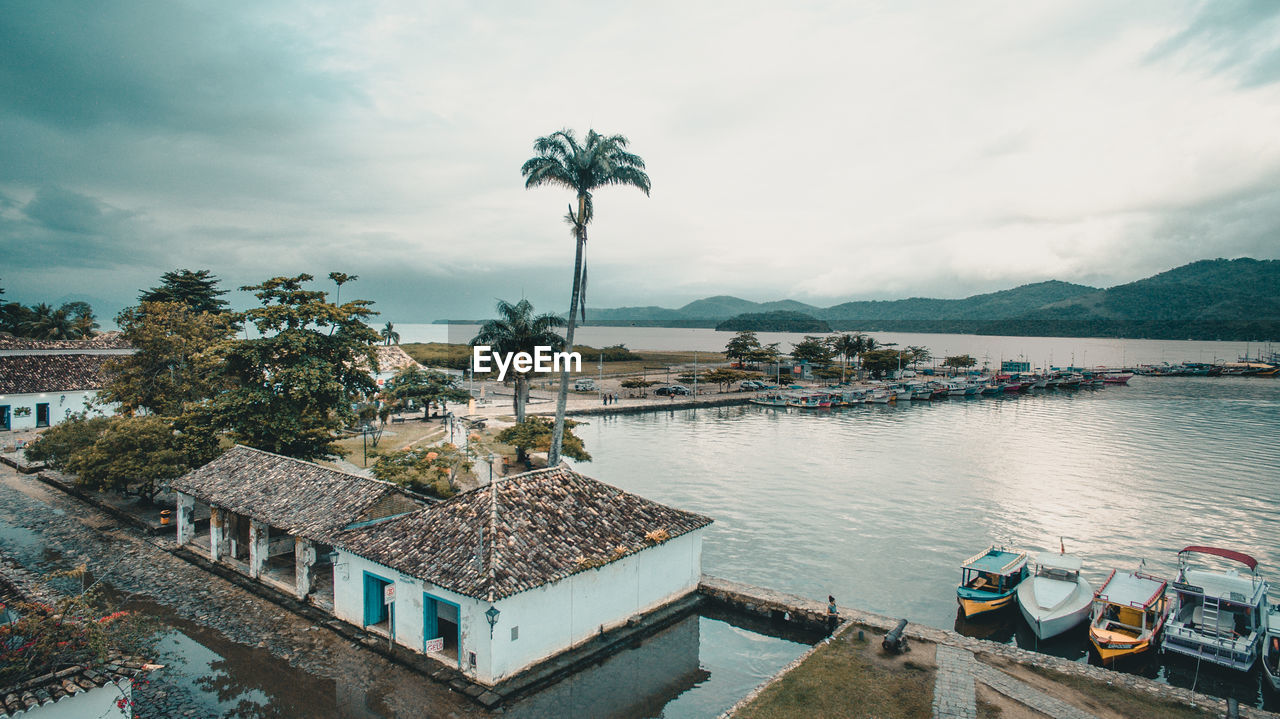 PANORAMIC SHOT OF PALM TREES BY PLANTS AGAINST SKY